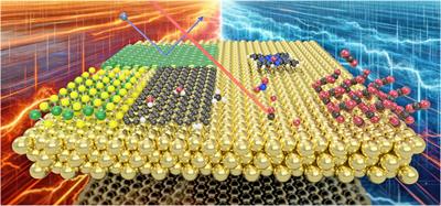 Editorial: Dynamics at surfaces: understanding energy dissipation and physicochemical processes at the atomic and molecular level